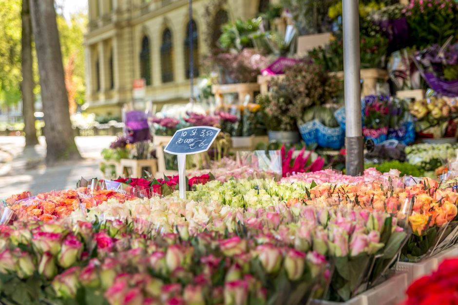 A vibrant outdoor flower stall on a sunny day, displaying an array of fresh roses in various shades, including pink, peach, and cream, wrapped in clear plastic. The flowers are arranged neatly in rows