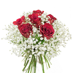 As a florist rooted in Thornton Heath, there's a special pleasure in designing arrangements like this one-a symphony of deep red roses encircled by dreamy rings of white baby's breath, or Gypsophila, a beloved choice for celebrations on Bensham Lane or Zermatt Road alike. Each rose boasts gently unfurled, velvety petals, their luminous crimson radiating energy and grace, while the ethereal baby's breath spills outwards in a delicate halo, bringing a luminous innocence to the composition. The bouquet is rounded and plush, each element thoughtfully layered so that the tactile experience is as captivating as the visual: the soft velvet of the roses merging with the cloud-like tufts beneath. Sunlight touches the flowers, highlighting fresh dew on petals and sparkling delicately through the vase. Through the clear glass, the long stems intertwine-vivid and green-giving a glimpse into the bouquet's natural architecture. Whether crafted for an anniversary, a heartfelt apology, or simply to say 'I love you,' this design embodies the artistry and heart that define Thornton Heath floristry, blending tradition with a distinctly local touch.