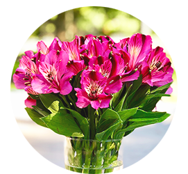 Same day Flowers Thornton Heath